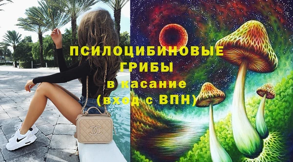 соль ск Бутурлиновка