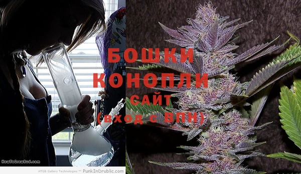 крисы Ростов