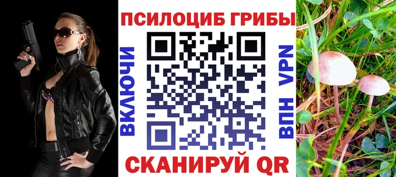 Псилоцибиновые грибы Psilocybine cubensis Сатка