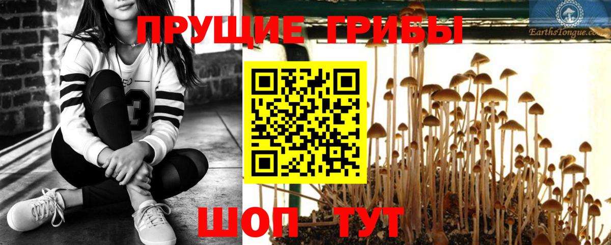 Галлюциногенные грибы GOLDEN TEACHER Сатка