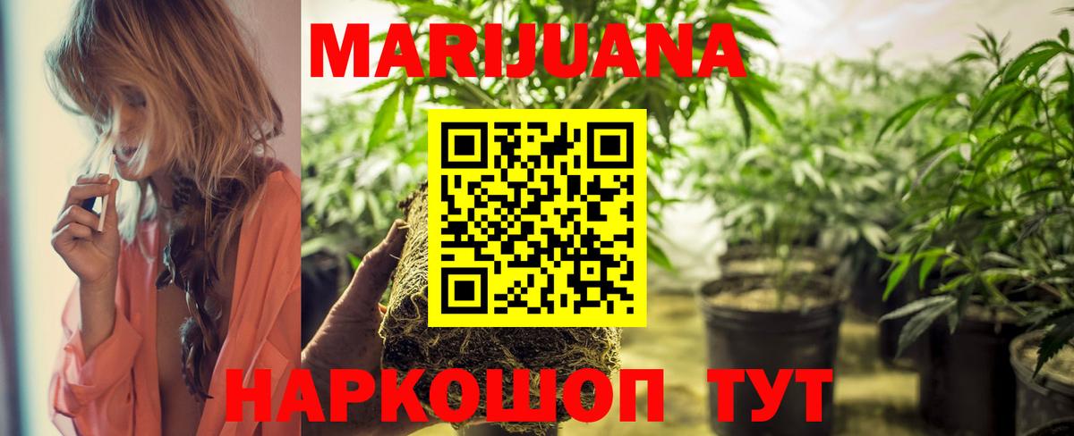 Каннабис SATIVA & INDICA Сатка